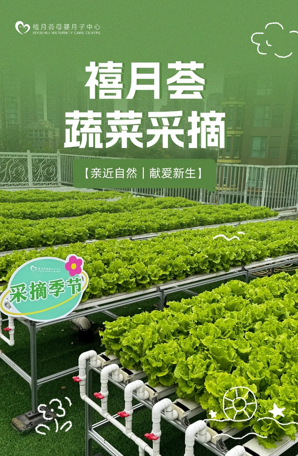 成都月子中心農(nóng)場主|共享菜地，開啟有機(jī)坐月子生活1