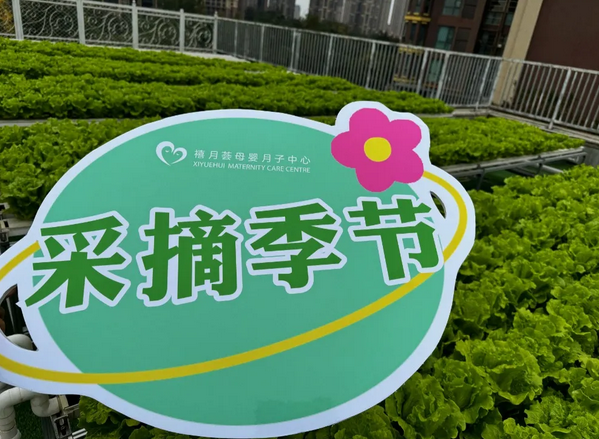 成都月子中心農(nóng)場主|共享菜地，開啟有機(jī)坐月子生活5
